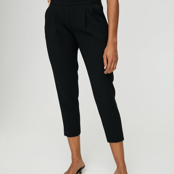 Aritzia Pants - Aritzia Babaton Cohen pant